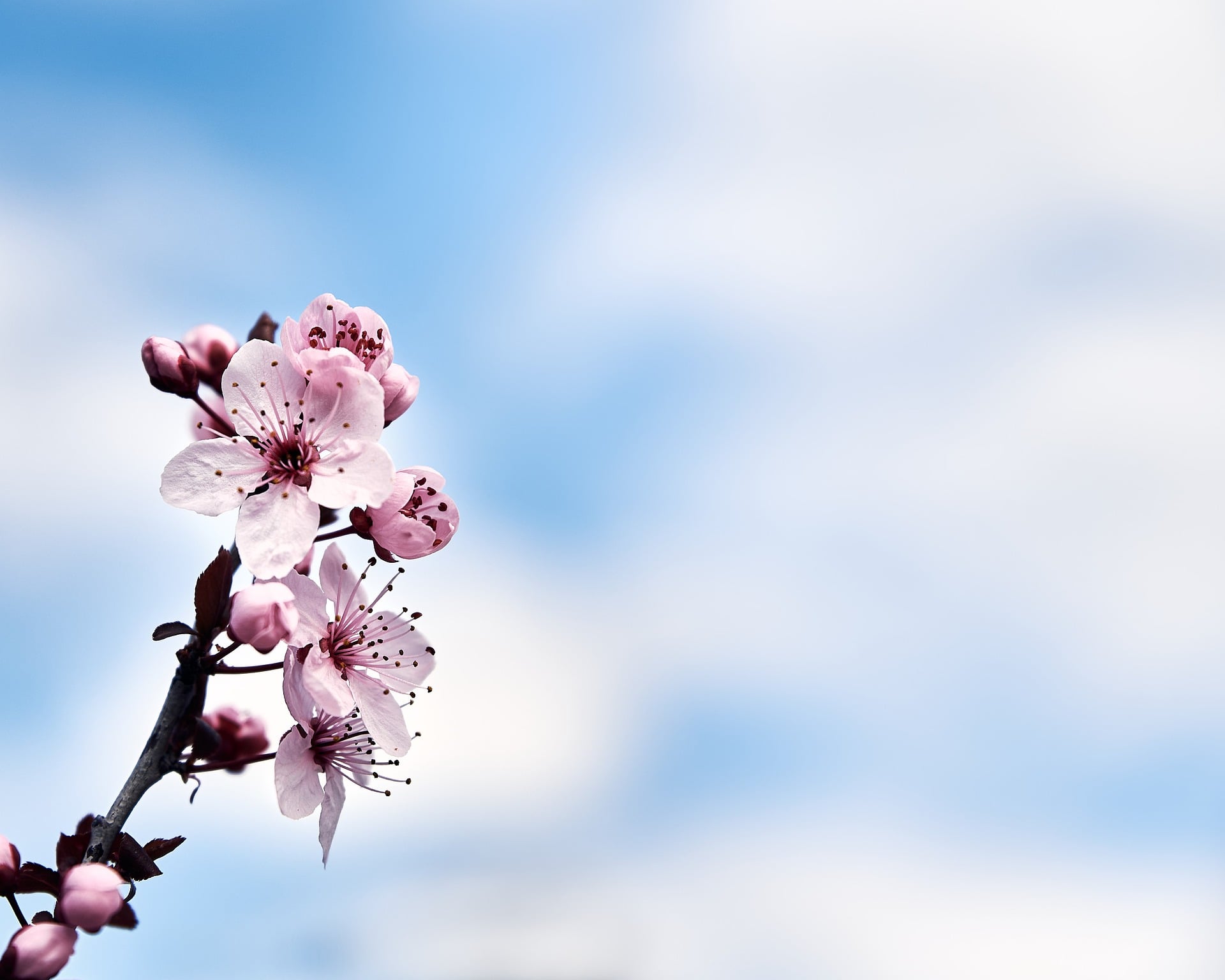 Banner 标题